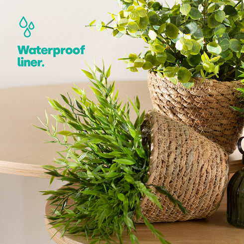 14cm Small Seagrass Plant Pots Set of 3